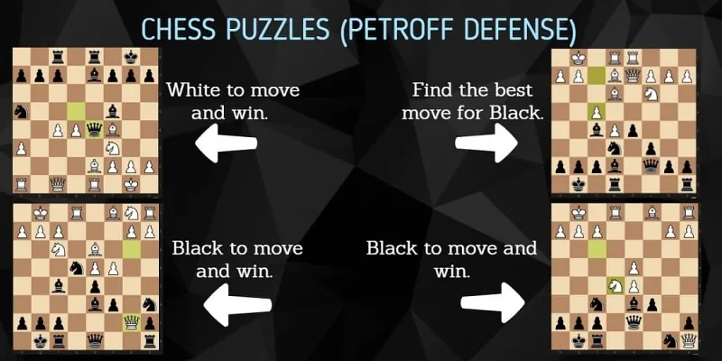 Différentes tactiques pour la défense Petrov