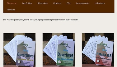 Patrick Jouhannet propose de très bons guides pratiques pour apprendre et réviser le jeu des échecs : ouvertures, milei de partie, finales, de nombreux livrets à commander en ligne sur Echecsprogress.fr